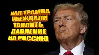 Как Петр Павел убеждал Трампа усилить давление на Россию