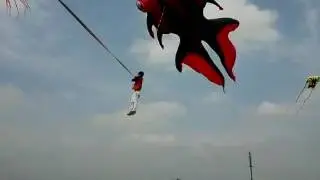 Over large goldfish kite