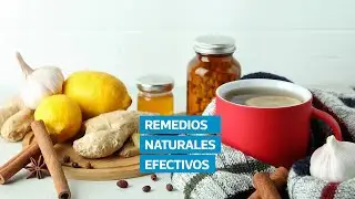 Plantas medicinales que ayudan a regular el az&uacute;car y prevenir la diabetes