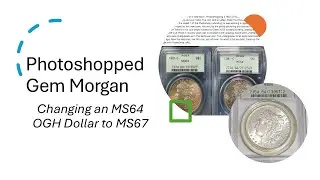 Photoshopped Gem Morgan Dollars in Old Green PCGS Holders