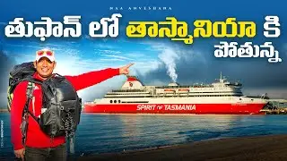 Melbourne to tasmania with spirit of tasmania cruise