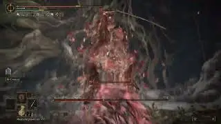 Lucky kill Malenia