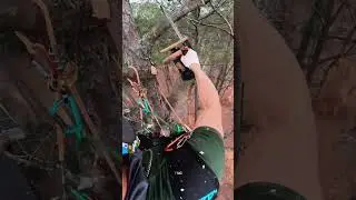 Trabajo de &aacute;rboles #climber #treework #climber #arborist