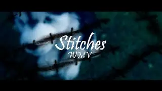 Stitches WMV