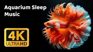 Aquarium Sleep Music 🐠 Deep Relaxation, Stress Relief & Peaceful Night Sleep