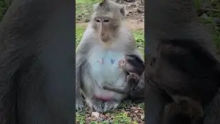 so disappointed mommy  rejected milk 🥛  #shorts #shortsfeed #shortvideo #short