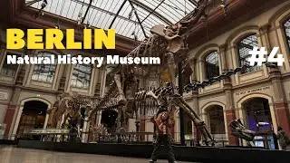 The BEST Museum &mdash; BERLIN Natural History Museum | Naturkundemuseum | Top Places to Visit in Berlin