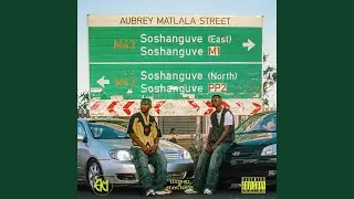 STREET GOVERNMENT