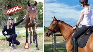 DAILY ROUTINE OF AN EQUESTRIAN! (My injured foal + horse mouthwash?!)