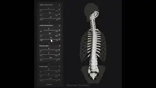 Biomechanics of the Spine App