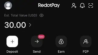 Обзор криптовалютной платформы RedotPay: P2P, зарубежные счета, долларовые карты &mdash; законно или по...