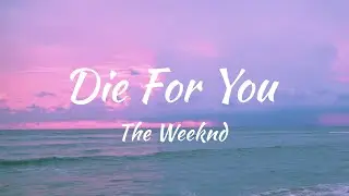 Whales - Die for you (Lyrics)