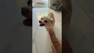 Funniest human Errors Ever Recorded