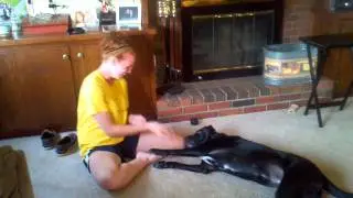Luckydog1