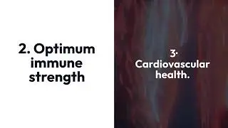 GNLD/NEOLIFE IMMUNE BOOSTER PRODUCT-PHYTODEFENCE