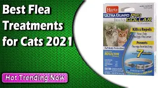 Best Flea Treatments for Cats 2022