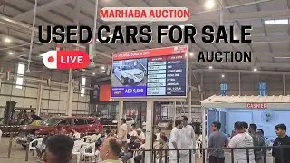 Used Cars for Sale in Live Auction || Marhaba Car Auction || Tour with Tahir