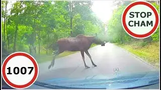 Stop Cham #1007  - Niebezpieczne i chamskie sytuacje na drogach