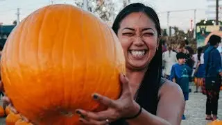 Our FIRST Pumpkin Patch