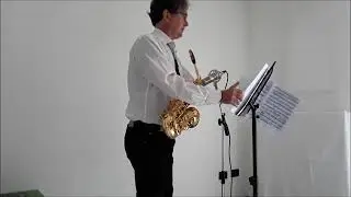 SINFONIA CLASSICA op  1 per Sassofono contralto:  Compositore FRATE Renzo