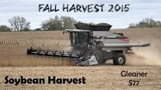Soybean Harvest: Gleaner S77 Combine
