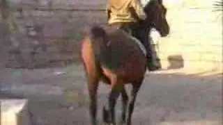 ASIL Mare