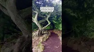 Deep Cut Gardens, New Jersey #newjersey #garden #travelvlog