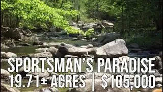 Recreational Brook Front Acres | Maine Real Estate