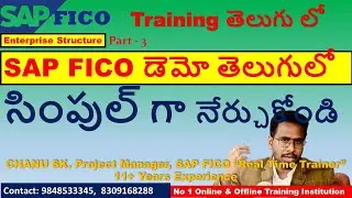 SAP FICO Demo In Telugu 2022🔥| Complete SAP Fico Training For Beginners-Enterprise Structure In SAP
