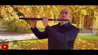 Autumn Colors  #macri #flute #music #newbedford #tree  #nature #autumn #beautiful 