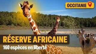 Sigean : Le parc animalier qui privil&eacute;gie le bien-&ecirc;tre animal
