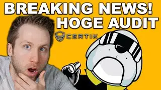 HOGECOIN AUDIT?! IS IT A SCAM? *BREAKING NEWS*