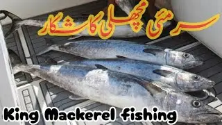 Karachi Trolling | Karachi Fishing | ARG Fishing | Karachi Chal | Fishing Report | Charna Fishing | 