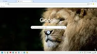 Как изменить фон Chrome и тему/цвет Google Chrome (2024)