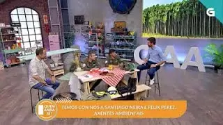 Programa TVG   Quen anda aí nº 313