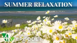 Soothing Puget Sound Waves & Gentle Piano Music | 4K Summer Day Relaxation in Discovery Park - Ep 1