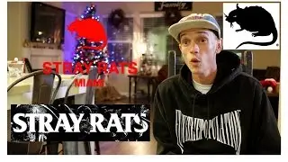 STRAY RATS UNBOXING!! FW16D1 REVIEW