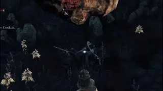 The Rock Stole My Kill... Bloodborne Invasions