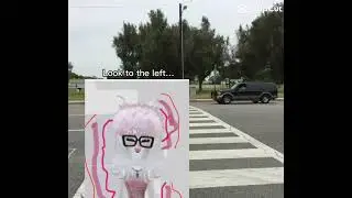 Any cats driving no!(oh no it&rsquo;s coco HAHA i am dead.