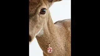 Luxury Brand Deer Rocks a Stunning Pink Gemstone Necklace!