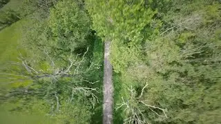 A ride in the woods 🏞
