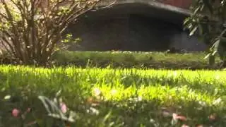 Home - an experimental dance film (2010)