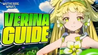 BROKEN UNIVERSAL SUPPORT - VERINA Guide | Combo breakdown , best weapon , echo
