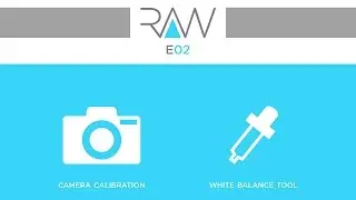 Camera RAW E02- Camera profile & White balance