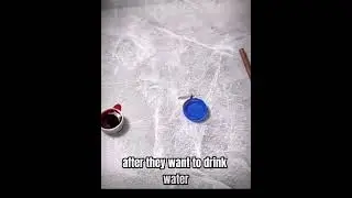 This is my mosquito 🦟 trap ^-^ #mosquito #short #funny #viral credit to:#@doggikrazy