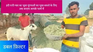 Hari Patti goat feeds Informative Video By hajrat Ali हरी पत्ती की पूरी जानकारी