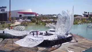 EXPO 2016, Antalya - Ceremony Flower