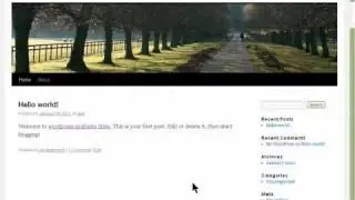 How To Install Worpress And Setup As Multisite