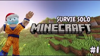 J'AI COMMENC&Eacute; UNE SURVIE SOLO SUR MINECRAFT #1 (Mon retour sur YouTube)
