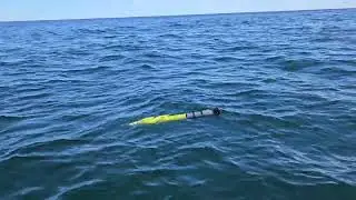 Apeiron Labs' Tensor Flipping In the Ocean